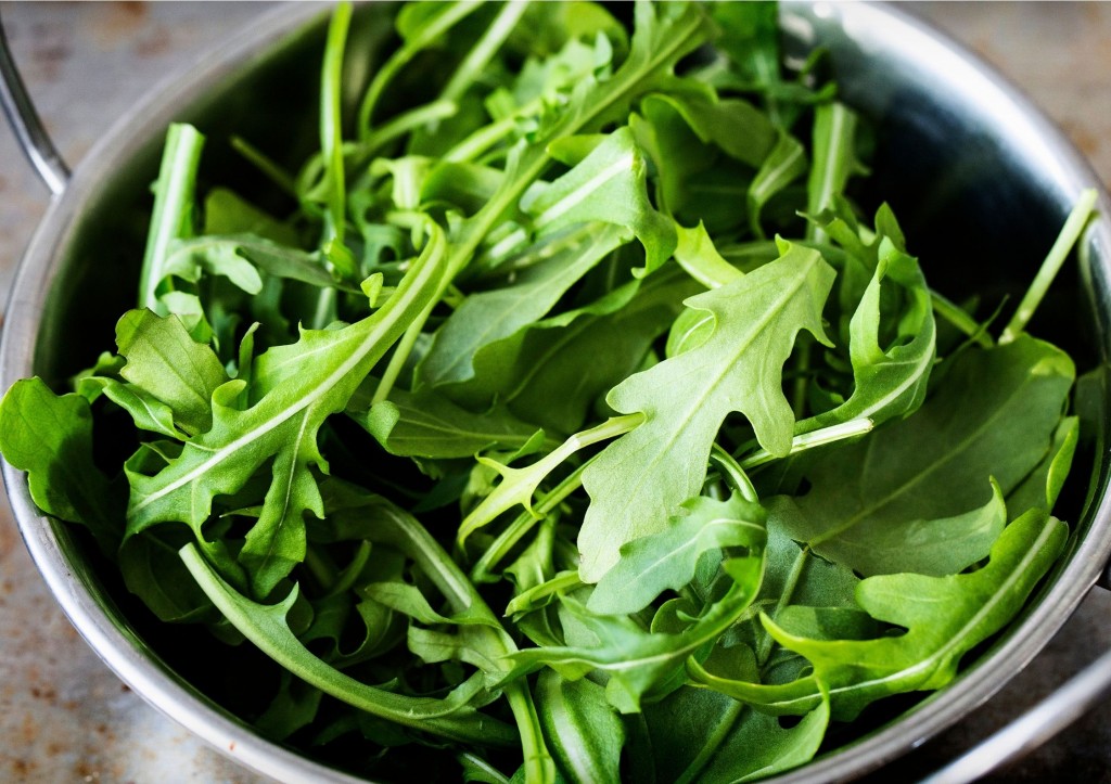 Wild Roquette (Rocket)